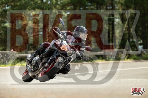 Passo del Muraglione 07-09-25 h12-37 1996