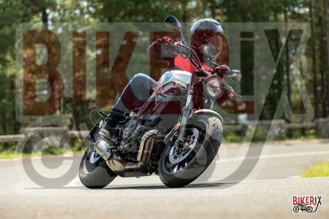 Passo del Muraglione 07-09-25 h12-47 2096