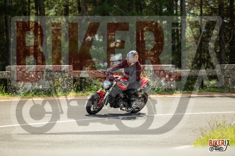 Passo del Muraglione 07-09-25 h13-03 2239