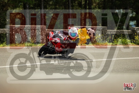 Passo del Muraglione 07-09-25 h13-36 2550