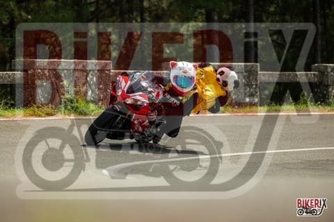 Passo del Muraglione 07-09-25 h13-36 2551