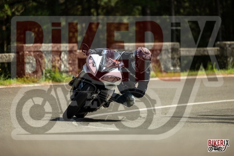 Passo del Muraglione 07-09-25 h14-16 2866