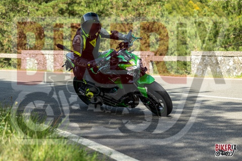 Passo del Muraglione 07-09-25 h14-55 3182