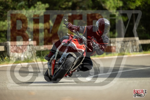 Passo del Muraglione 07-09-25 h15-16 3351