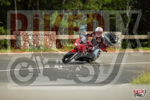 Passo del Muraglione 07-09-25 h16-33 3829