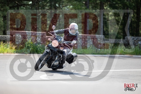 Passo del Muraglione 10-05-25 h11-21 0256