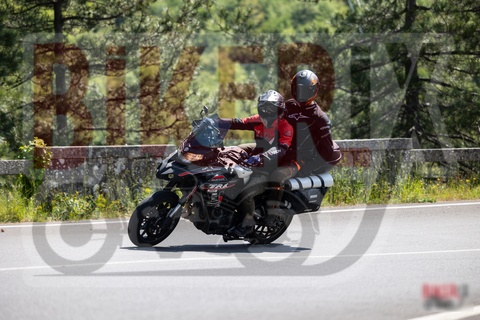 Passo del Muraglione 10-05-25 h11-39 0357