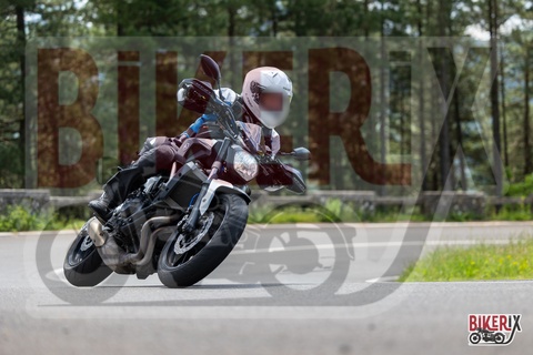 Passo del Muraglione 10-05-25 h12-12 0520