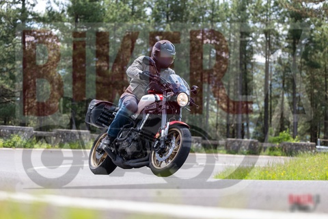 Passo del Muraglione 10-05-25 h12-12 0524