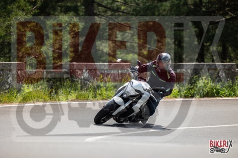 Passo del Muraglione 10-05-25 h12-23 0558