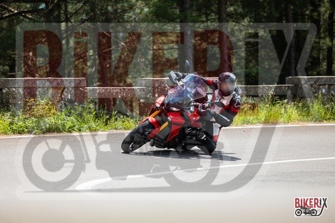 Passo del Muraglione 10-05-25 h12-37 0591