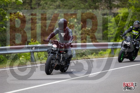 Passo del Muraglione 10-05-25 h13-24 0914