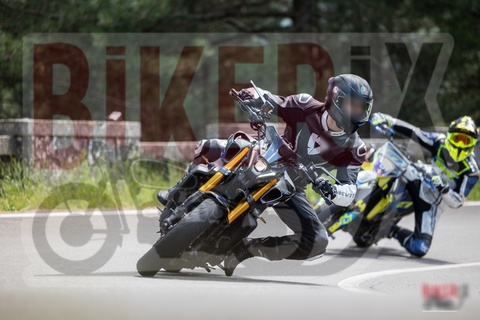 Passo del Muraglione 10-05-25 h13-31 0931