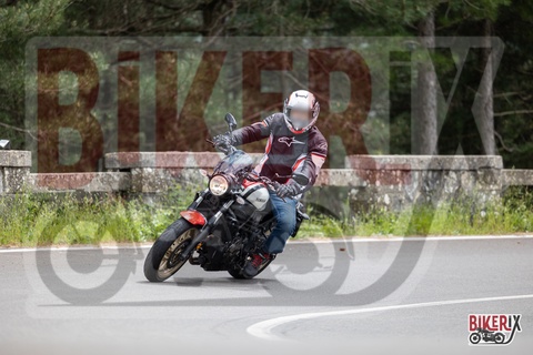Passo del Muraglione 10-05-25 h14-11 1155