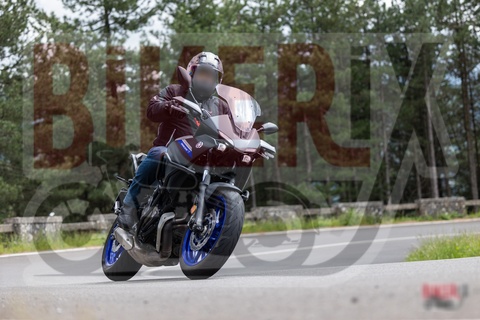 Passo del Muraglione 10-05-25 h14-11 1161