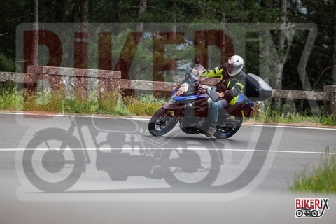 Passo del Muraglione 10-05-25 h14-15 1165