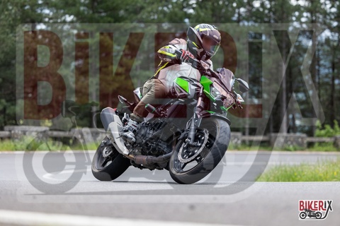 Passo del Muraglione 10-05-25 h14-21 1215