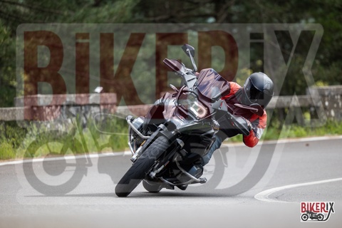 Passo del Muraglione 10-05-25 h14-21 1239