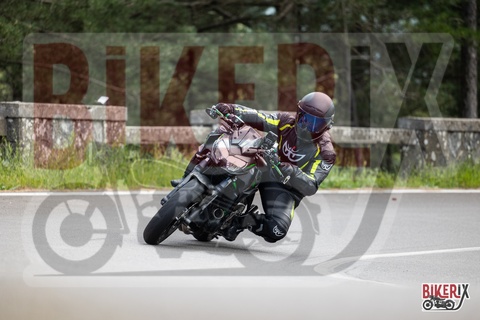 Passo del Muraglione 10-05-25 h14-29 1343
