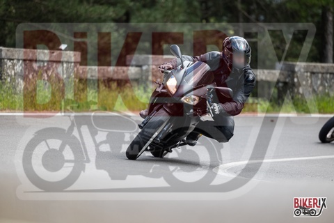 Passo del Muraglione 10-05-25 h14-31 1363