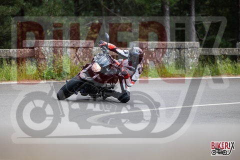 Passo del Muraglione 10-05-25 h14-38 1446