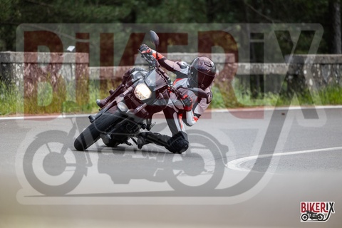 Passo del Muraglione 10-05-25 h14-38 1447