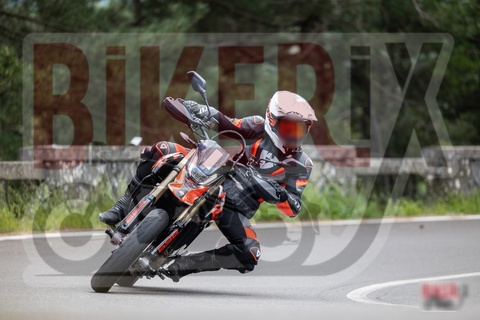 Passo del Muraglione 10-05-25 h14-49 1533