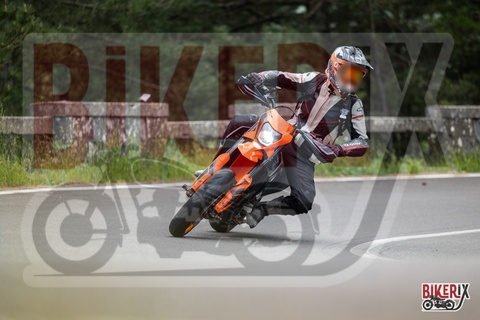 Passo del Muraglione 10-05-25 h14-49 1542
