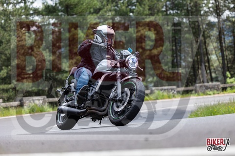 Passo del Muraglione 10-05-25 h15-08 1663