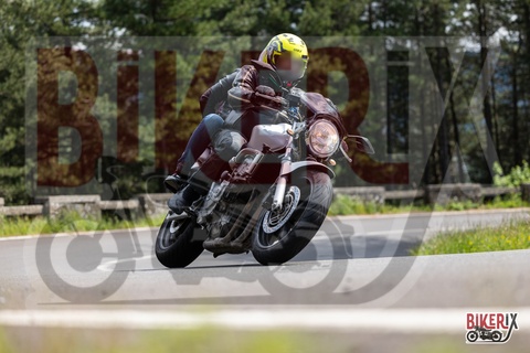 Passo del Muraglione 10-05-25 h15-13 1674