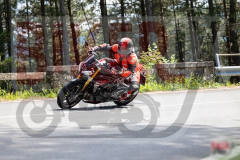 Passo del Muraglione 10-05-25 h15-18 1684