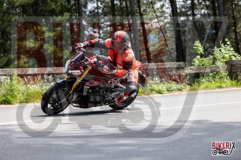 Passo del Muraglione 10-05-25 h15-18 1686