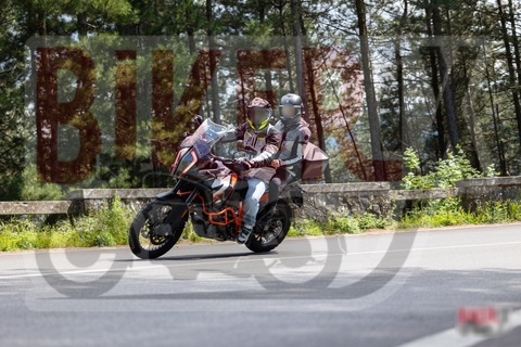 Passo del Muraglione 10-05-25 h15-20 1691