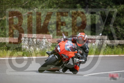 Passo del Muraglione 10-05-25 h15-27 1744