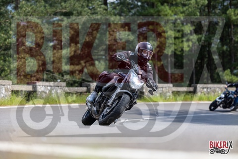 Passo del Muraglione 10-05-25 h15-31 1773