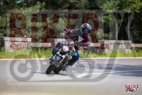 Passo del Muraglione 10-05-25 h15-31 1775