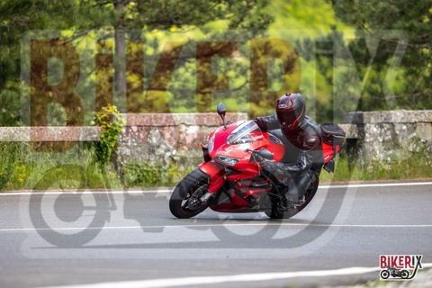 Passo del Muraglione 10-05-25 h16-13 2032