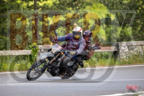 Passo del Muraglione 10-05-25 h16-13 2038