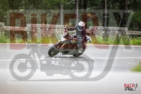 Passo del Muraglione 10-05-25 h16-23 2163