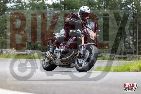 Passo del Muraglione 10-05-25 h16-23 2167