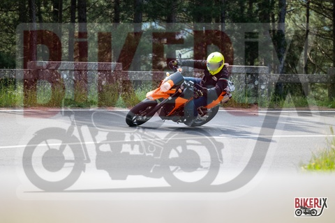 Passo del Muraglione 11-05-25 h10-43 0191