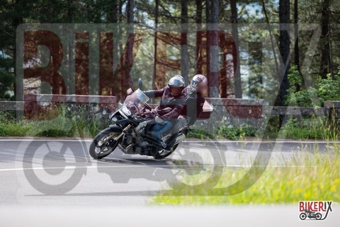 Passo del Muraglione 11-05-25 h10-43 0196