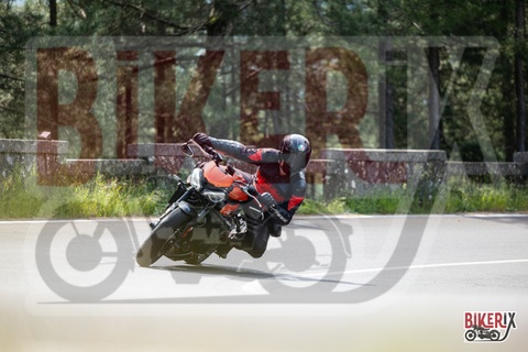 Passo del Muraglione 11-05-25 h10-51 0243