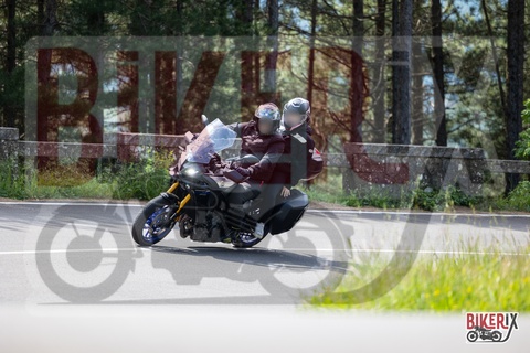Passo del Muraglione 11-05-25 h10-58 0284