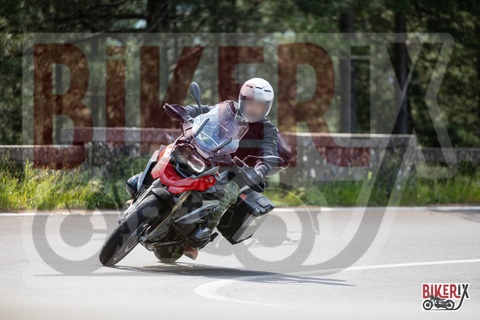 Passo del Muraglione 11-05-25 h10-58 0304