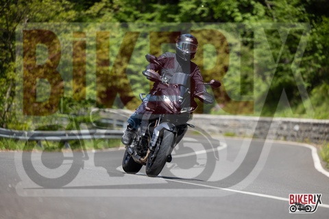 Passo del Muraglione 11-05-25 h11-17 0483
