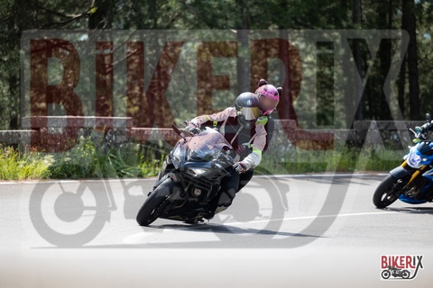 Passo del Muraglione 11-05-25 h11-18 0493