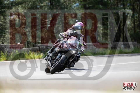 Passo del Muraglione 11-05-25 h11-18 0494