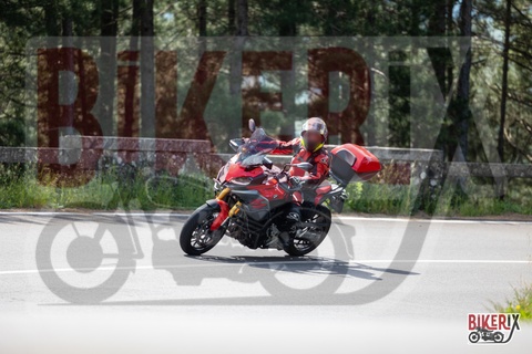 Passo del Muraglione 11-05-25 h11-24 0516