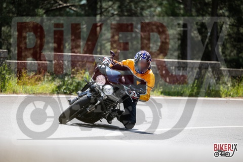 Passo del Muraglione 11-05-25 h12-10 0963